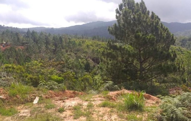 En Constanza… Conveniente proyecto para inversionista!