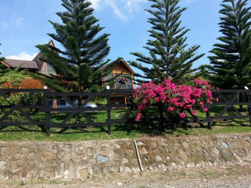 Propiedad con 10 tareas, en Villa Mercedes, Jarabacoa