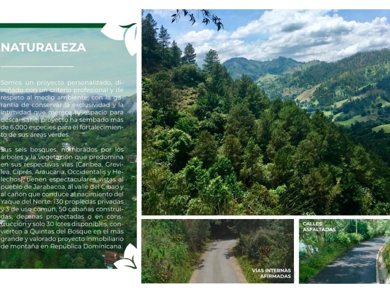 Quintas del Bosque, calidad de vida en la montaña